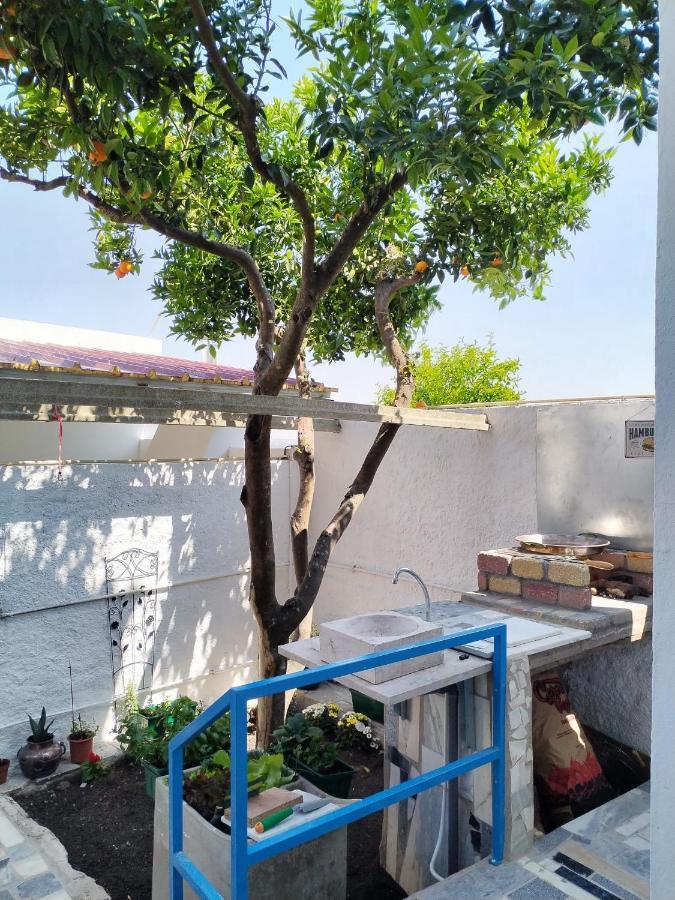 Ferienwohnung Casa Da Laranjeira Montargil Exterior foto